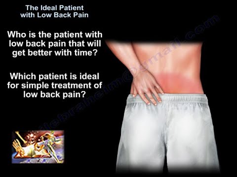 The Ideal Patient With Low Back Pain - Everything You Need To Know - Dr. Nabil Ebraheim