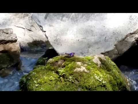 06/05/2016 Закарпаття. Чоп. Латориця / Transcarpathia. Chop. Latorica