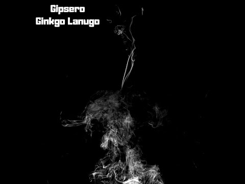 Gipsero - Ginkgo Lanugo