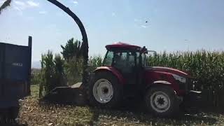 Satılık Çelikel CHALLENGER II PLUS mısır silaj makinesi - Görüntü 20 | Agriline TR Yeni Çelikel CHALLENGER II PLUS mısır silaj makinesi | Görüntü 20 - Agriline