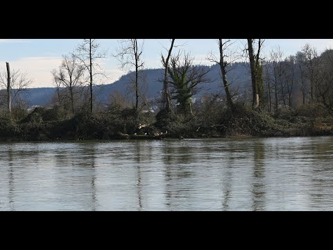 Tutti März 2024 03 zum Lauffen laufen Nigun mit Giora