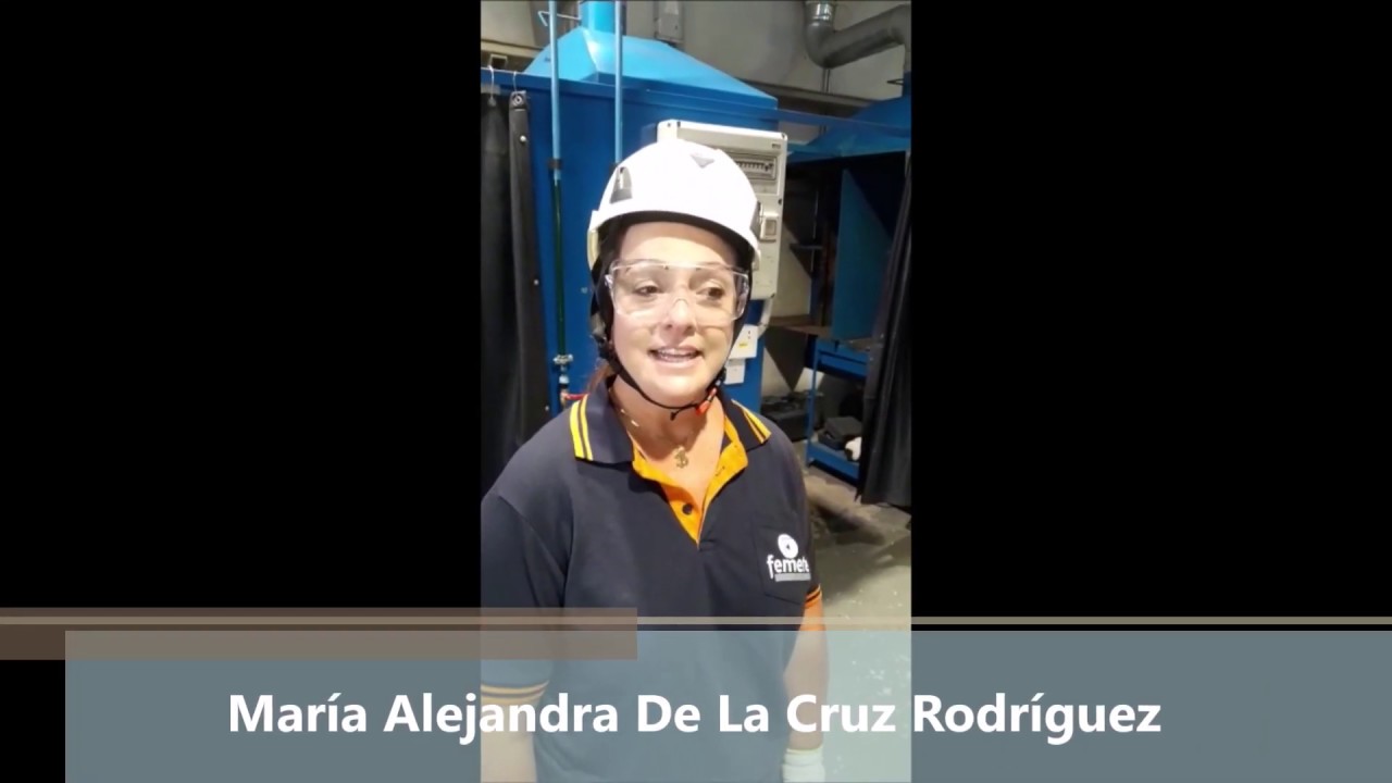 Infraestructuras de telefonía y redes locales de datos, 2