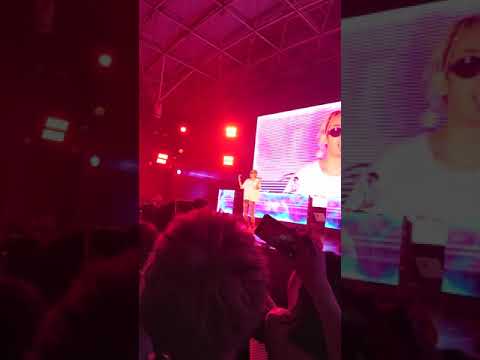 SALU / Cho Wavy De Gomenne