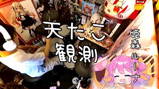【ホロドリ】天たこ観測 やってみた  姫森ルーナ #ホロライブ #hololive 