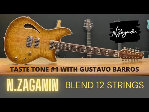 N.Zaganin - Taste Tone with Gustavo Barros: Blend 12 Strings (part 1)