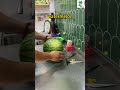 Yellow Watermelon Asmr Fruit Shorts