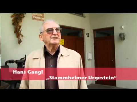 Stuttgarts Stadtbezirke  Stammheim