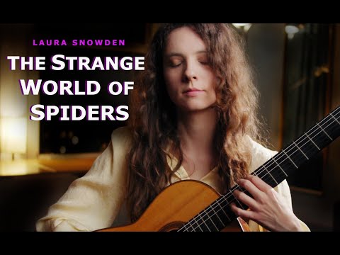 The strange world of spiders by Laura Snowden