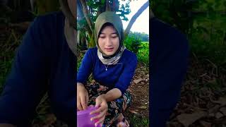 Download lagu Neng Anggi Gadis desa | Gadis desa cantik | gadis desa kita #shorts #gadisdesa #gadisdesakita mp3 Download lagu Neng Anggi Gadis desa | Gadis desa cantik | gadis desa kita #shorts #gadisdesa #gadisdesakita mp3