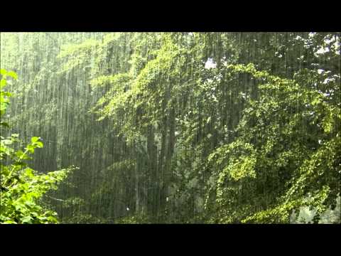 Torrential rain - relaxing rain with nature sounds