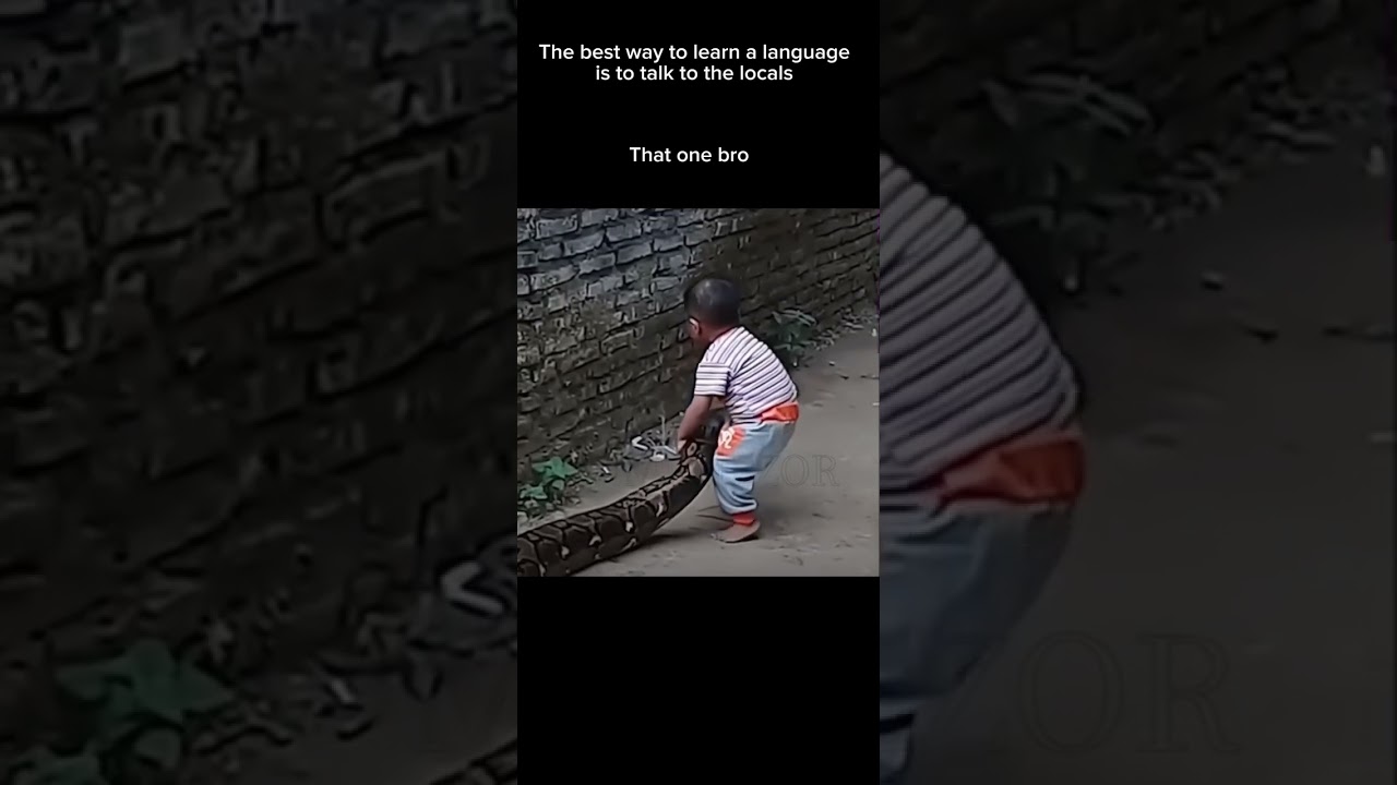 Learning python #MEMEZOR