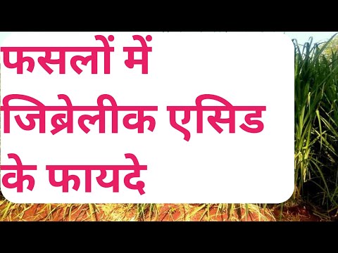 Gibberellic Acid 0.001 L