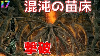 (再アップ版)死にゲー苦手の男が挑むダークソウル/混沌の苗床撃破＃１７