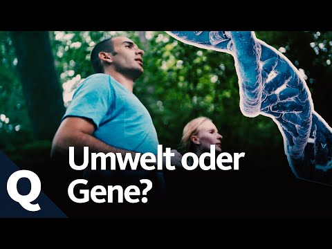 Genregulation: So können wir unsere Gene beeinflussen (Ganze Folge) | Quarks
