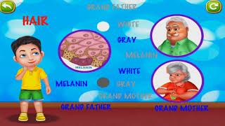 The Human Body for Kids | Hair for children | Educational cartoons