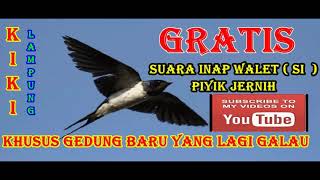 Download lagu SUARA INAP WALET  ( SI ) PIYIK YANG TERKENAL DAN JERNIH... mp3 Download lagu SUARA INAP WALET  ( SI ) PIYIK YANG TERKENAL DAN JERNIH... mp3