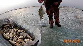 Рыбалка в костанайской области узункольский район