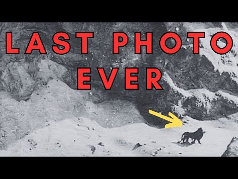 Ten Last Photos of Extinct Animals