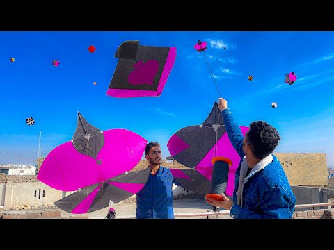 Kite **Catching**& kite Cutting vlog || 2.5 Tava loot lia 😂