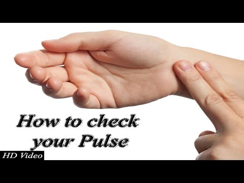How to Check Your Pulse - Step by Step Guide HD