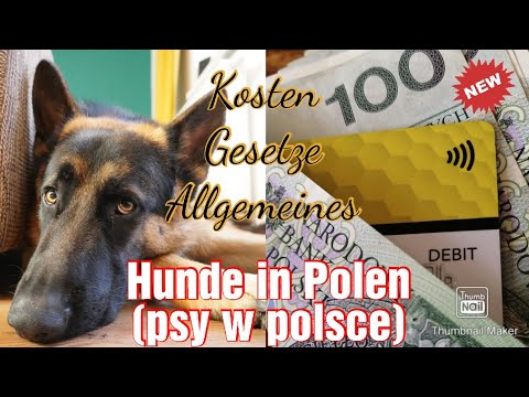 , title : 'POLEN - Auswandern mit Hund - Gesetze + Allgemeines| Urlaub mit dem Vierbeiner | posiadanie psa'