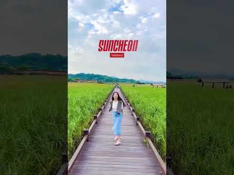 [Viagem pela Coreia – Namhae]Há uma infinidade de lugares para visitar nas partes do sul da Coreia neste outono!