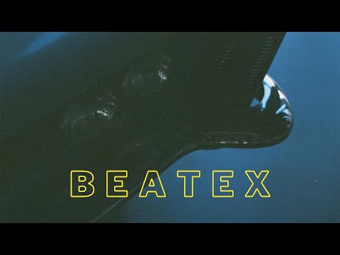 Stephan Stavisskii - Beatex (Audio)