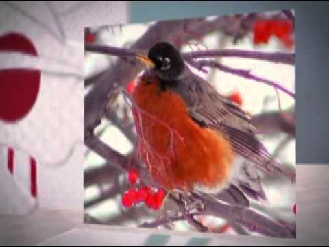 Stephanie De-Sykes - Hurry up Santa