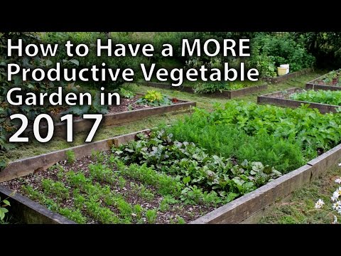 Landscaping: Creating a farm garden - planning and ideas for the flourishing kitchen garden | 2025