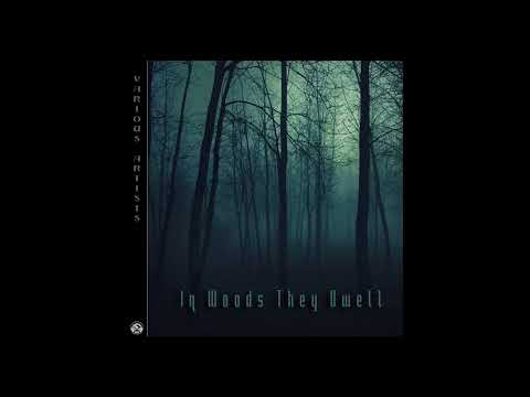 Shogun Sky - Echo Of The Night [Electrosphere Records] [Dub, Electronic, Techno]