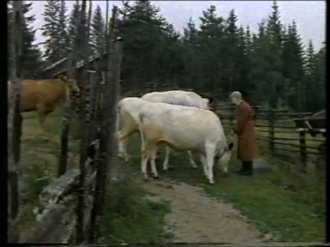 Gammal Fäbodsalm Alice Babs.AVI