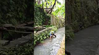 Download lagu ngejala di selokan kecil #fishing #ngejala #fypage mp3