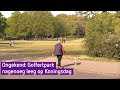 Ongekend: Goffertpark nagenoeg leeg op Koningsdag