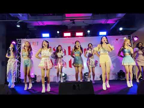Daisy Daisy : Daisy Daisy @ Sakura Matsuri - The Market Bangkok【4K 60fps】