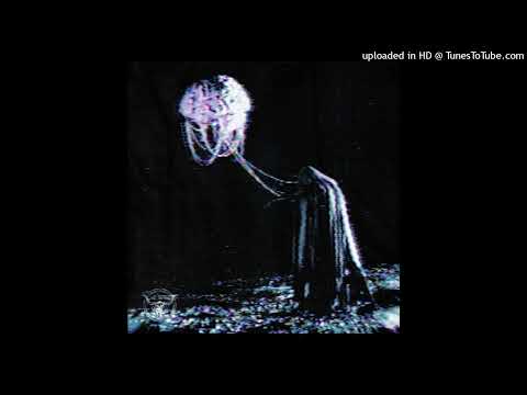 Sect Unit - Body