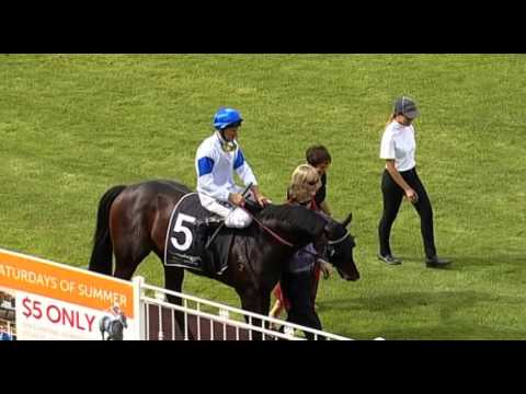 Ascot, 16/01/2015 - Race 6 - LUCKY STREET - Trevor Andrews