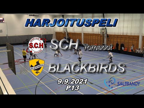 Harjoituspeli SCH Tornadot - Blackbirds 12-0 9.9.2021