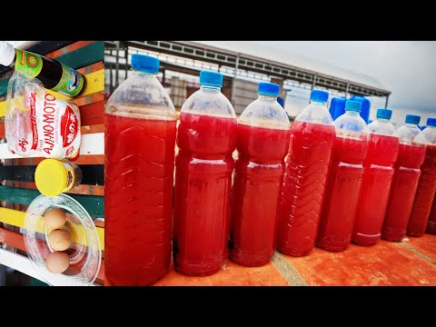How to make photosynthetic bacteria (PSB) at home  | The best fertilizer use only 4 ingredients
