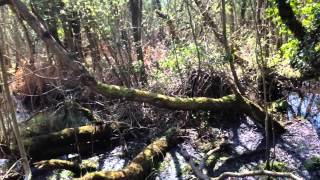 Mad, Mad Me ... Blogpost May 8th