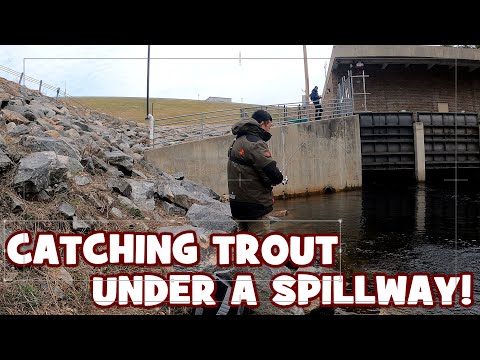 Fishing for TROUT Under THE SPILLWAY...!!! (Give-away Winner Announced)
