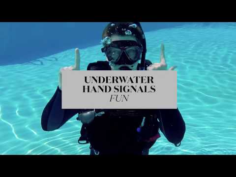 Fun Hand Signals Scuba Divers Will Enjoy