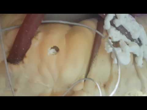 download lagu mp3 mp4 Dynasty Tub, download lagu Dynasty Tub gratis, unduh video klip Dynasty Tub