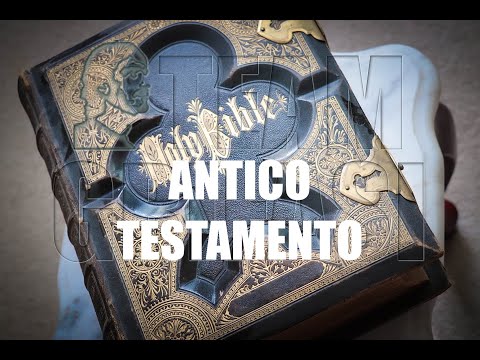 307-IT B., 14º Ciclo Investigativo 1º Protocollo: Antico Testamento - Claudia Pani Team Grifasi