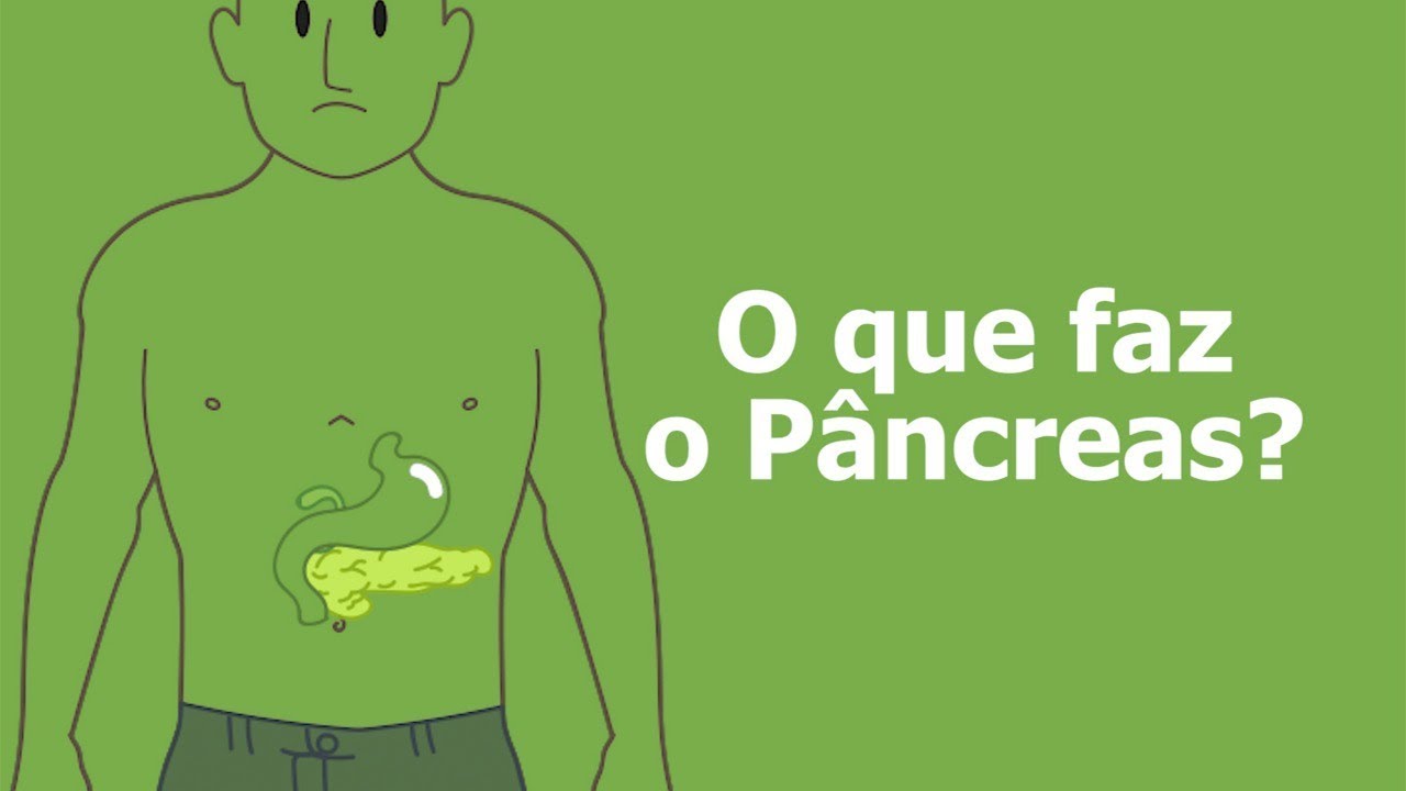 O Que é Pancreas