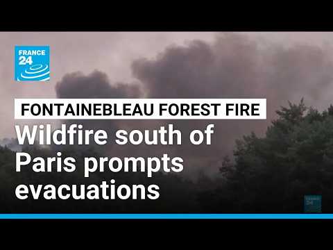 Nearly 1,000 hectares burnt in fire near Paris