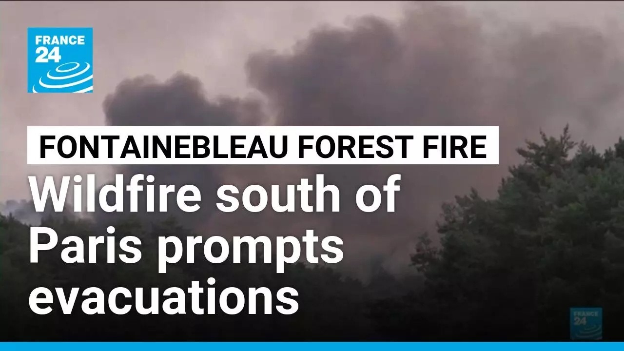 Video: Wildfire burns nearly 1,000 hectares in Fontainebleau forest south of Paris