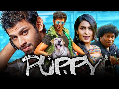 Puppy - South Superhit Comedy Hindi  Movie | Varun, Samyuktha Hegde, Yogi Babu