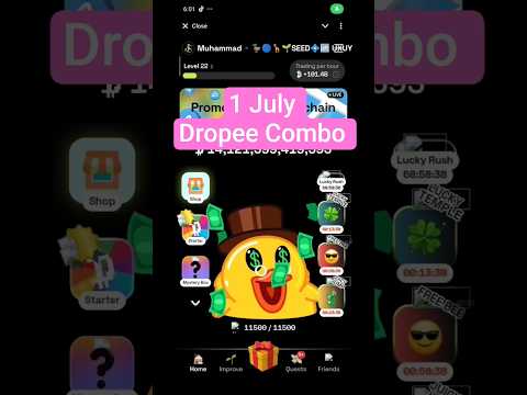 Dropee Daily Combo card 🔥 Today 1 July Dropee Combo lottery card 🔥 Dropee Combo Today 🔥