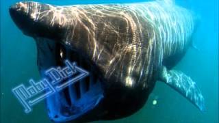 Moby Dick: live in Budapest, Dec. 26th, 1989. Part 2.