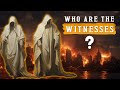 WHO are the TWO WITNESSES in the END TIMES TRIBULATION | Revelation 11